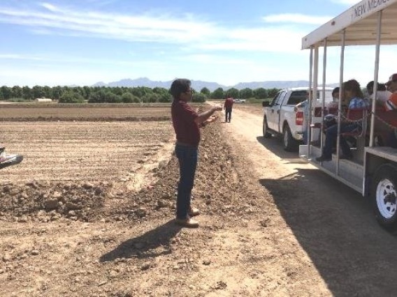 Field day focused on guar production, New Mexico
