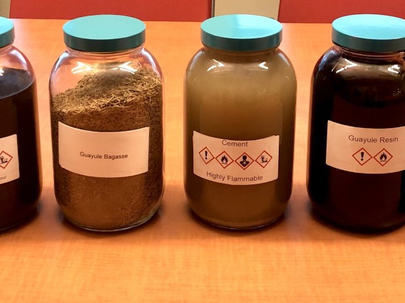 Bridgestone Biorubber Process Research Center guayule processing stages (L-R): raw feedstock, miscella (a solvent mixture), begasse, rubber cement, guayule resin, rubber, and latex