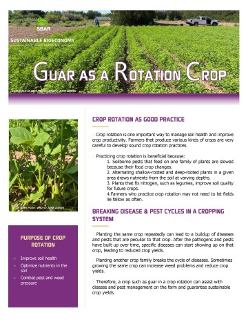 SBAR Fact Sheet Guar as a Rotation Crop cover page