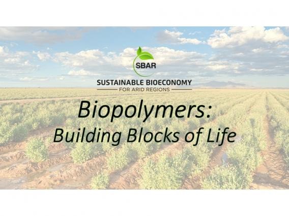 Biopolymers: Building Blocks of Life