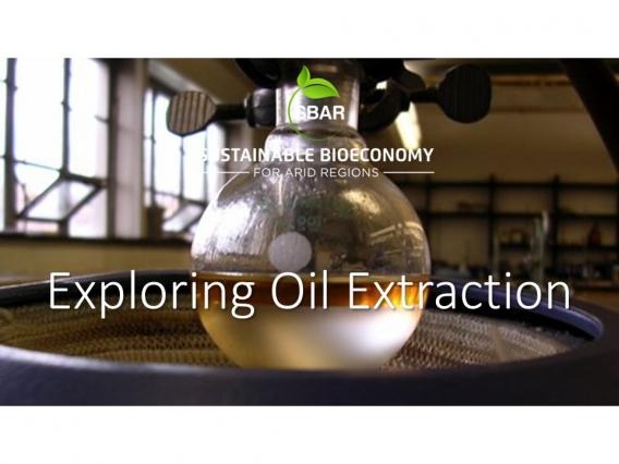 Exploring Oil Extraction