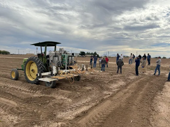 Guayule Grower Field Day 2022 - guayule field and equipment Eloy, AZ