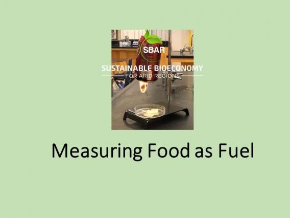 measuring food as fuel