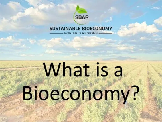 What is a Bioeconomy