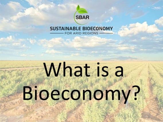 What is a Bioeconomy