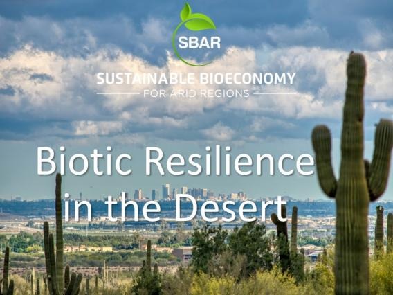 Biotic Resilience in the Desert Title Slide