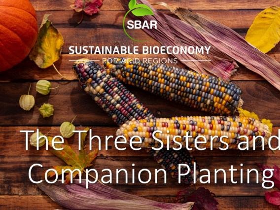 Three Sisters and Companion Planting Lesson Title
