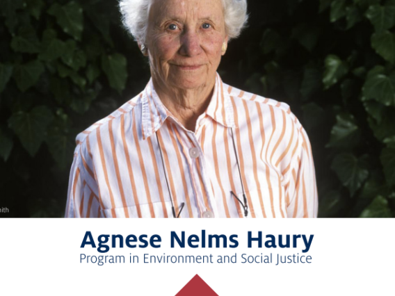 Agnese Nelms Haury Program