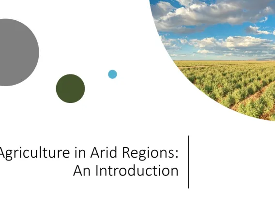 Agriculture in Arid Regions PowerPoint