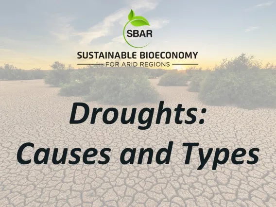 Droughts Causes and Types Title Slide