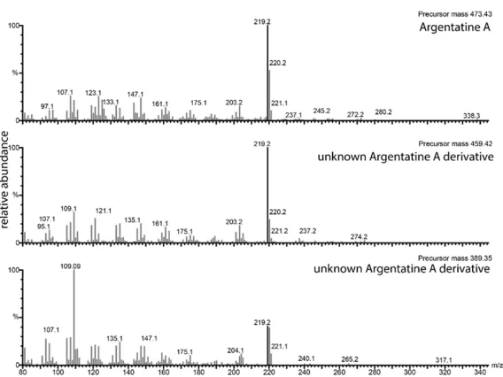 Mass Spectral Characterization for Argentatin A