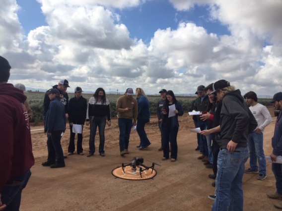 UArizona Students from the Agricultural Education, Technology and Innovation Department visit the SBAR guayule fields at the Maricopa Agricultural Center.