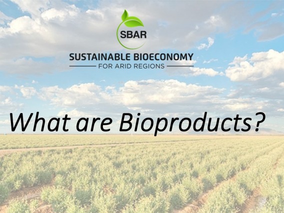 What are Bioproducts Title slide
