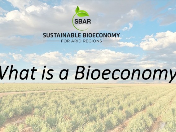 "What Is Bioeconomy?" title slide