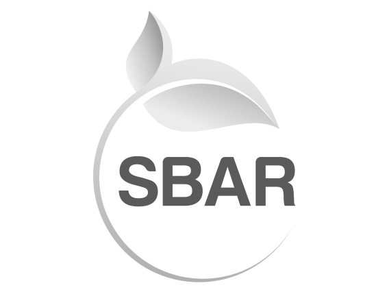 SBAR placeholder