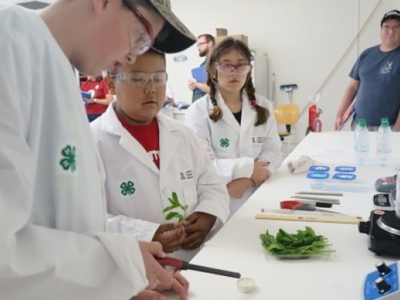 Youth participants exploring biofuel concepts through hands-on experimentation at a 4-H Youth Summer Camp