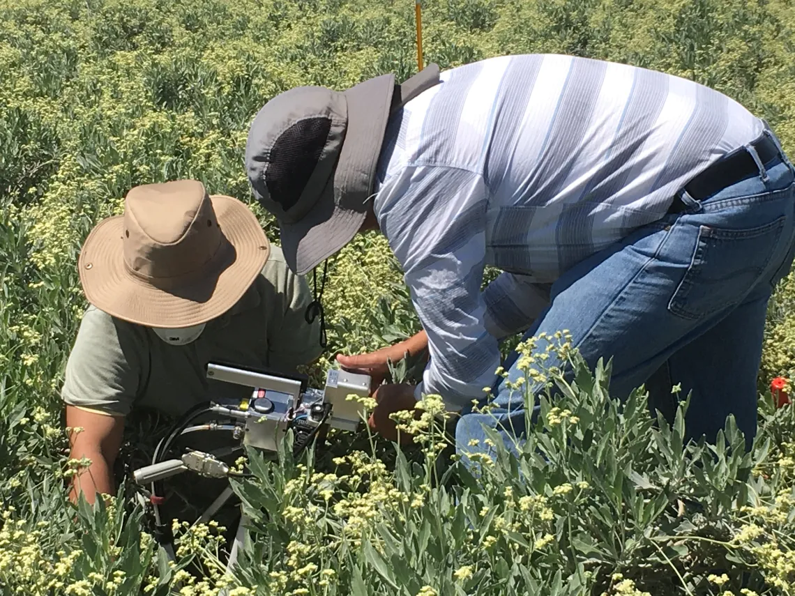 2018 soil moisture probe installation