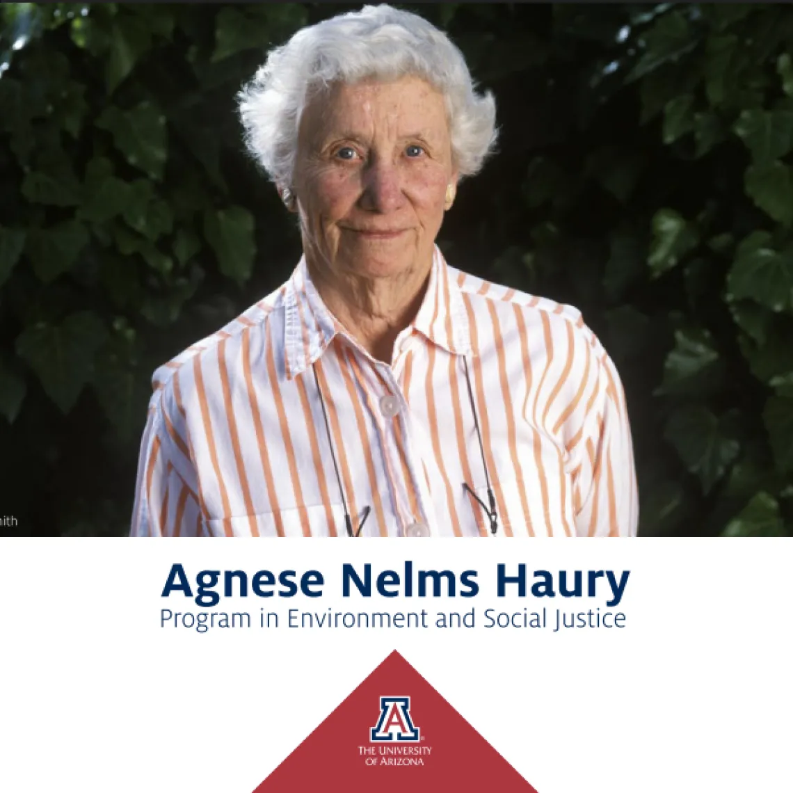 Agnese Nelms Haury Program