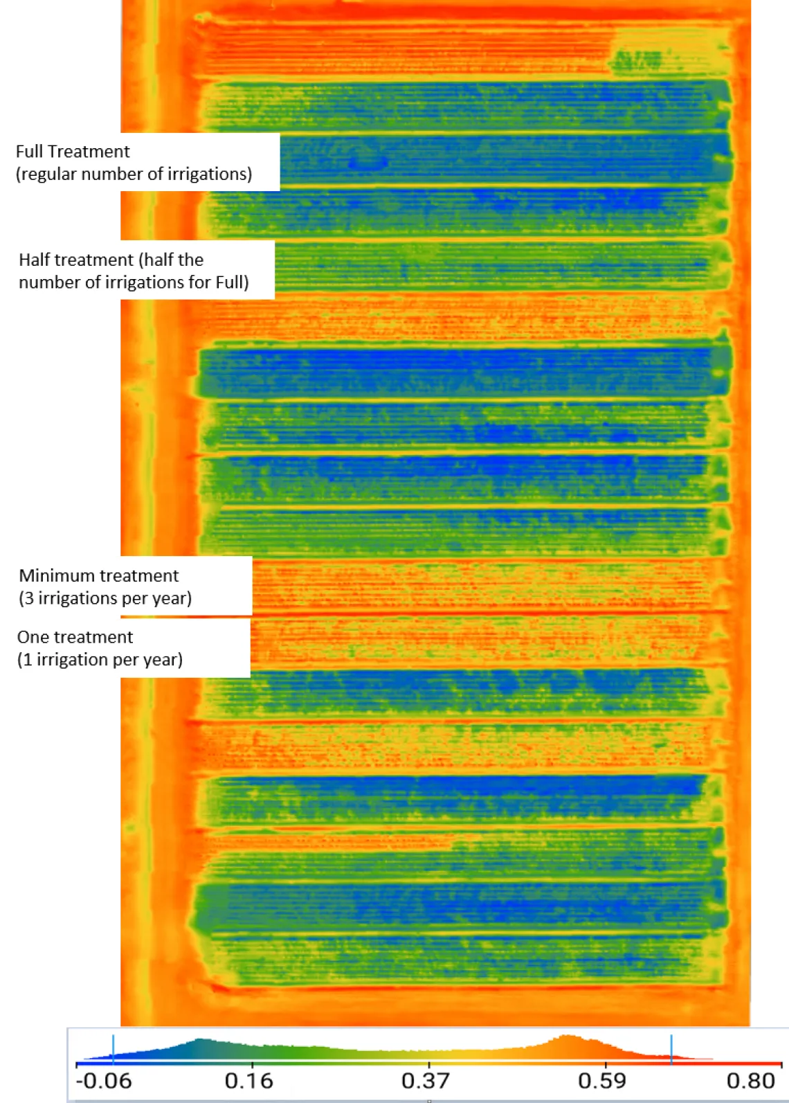 Water deficit index drone image taken in October 2020 from guayule fields in Eloy, Arizona