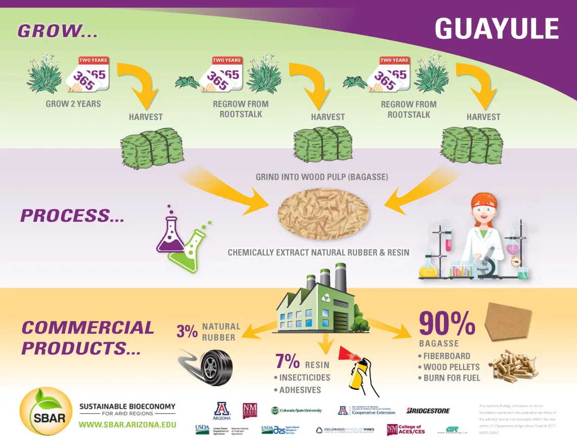 Guayule Flyer Guayule Flyer