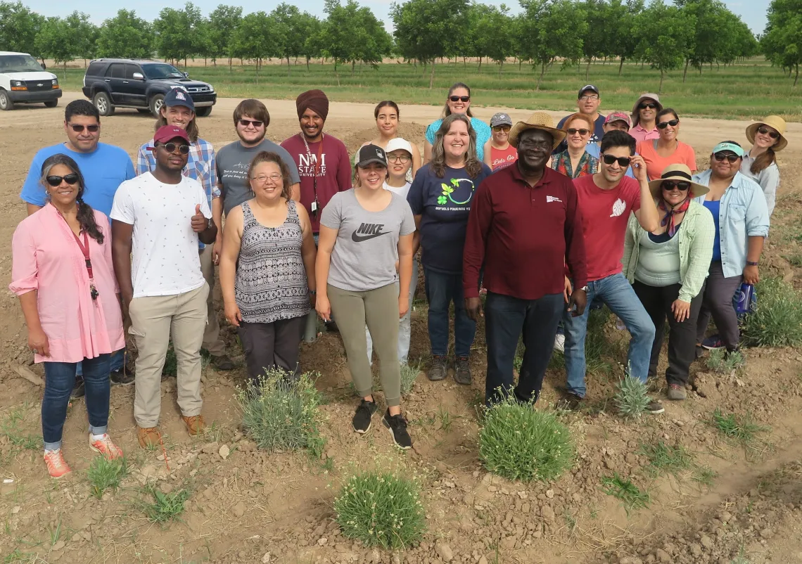 SBAR Teachers and Fellows visit a Guayule field in Las Cruces, NM