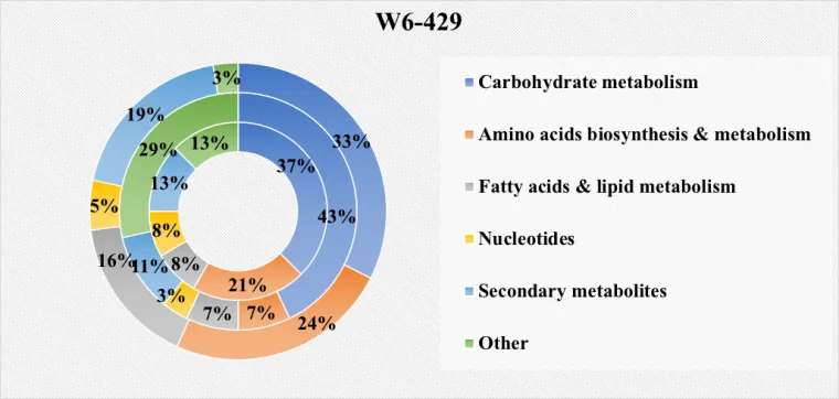 Guayule W6-429 Metabolome_