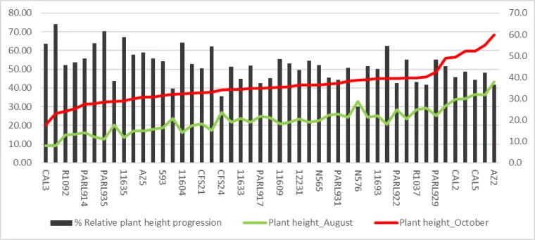 Phenotypic variations in plant height, within the USDA guayule accessions