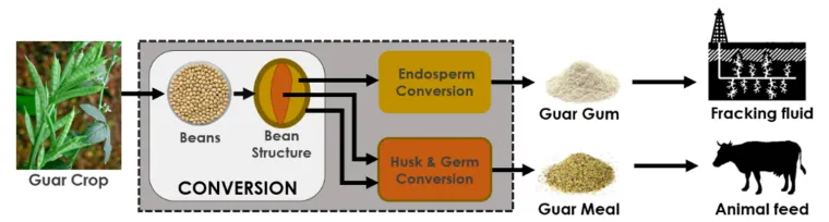 Guar gum conversion chain