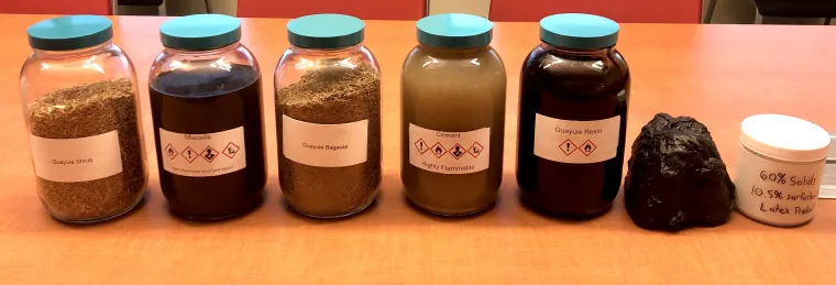 Bridgestone Biorubber Process Research Center guayule processing stages (L-R): raw feedstock, miscella (a solvent mixture), begasse, rubber cement, guayule resin, rubber, and latex