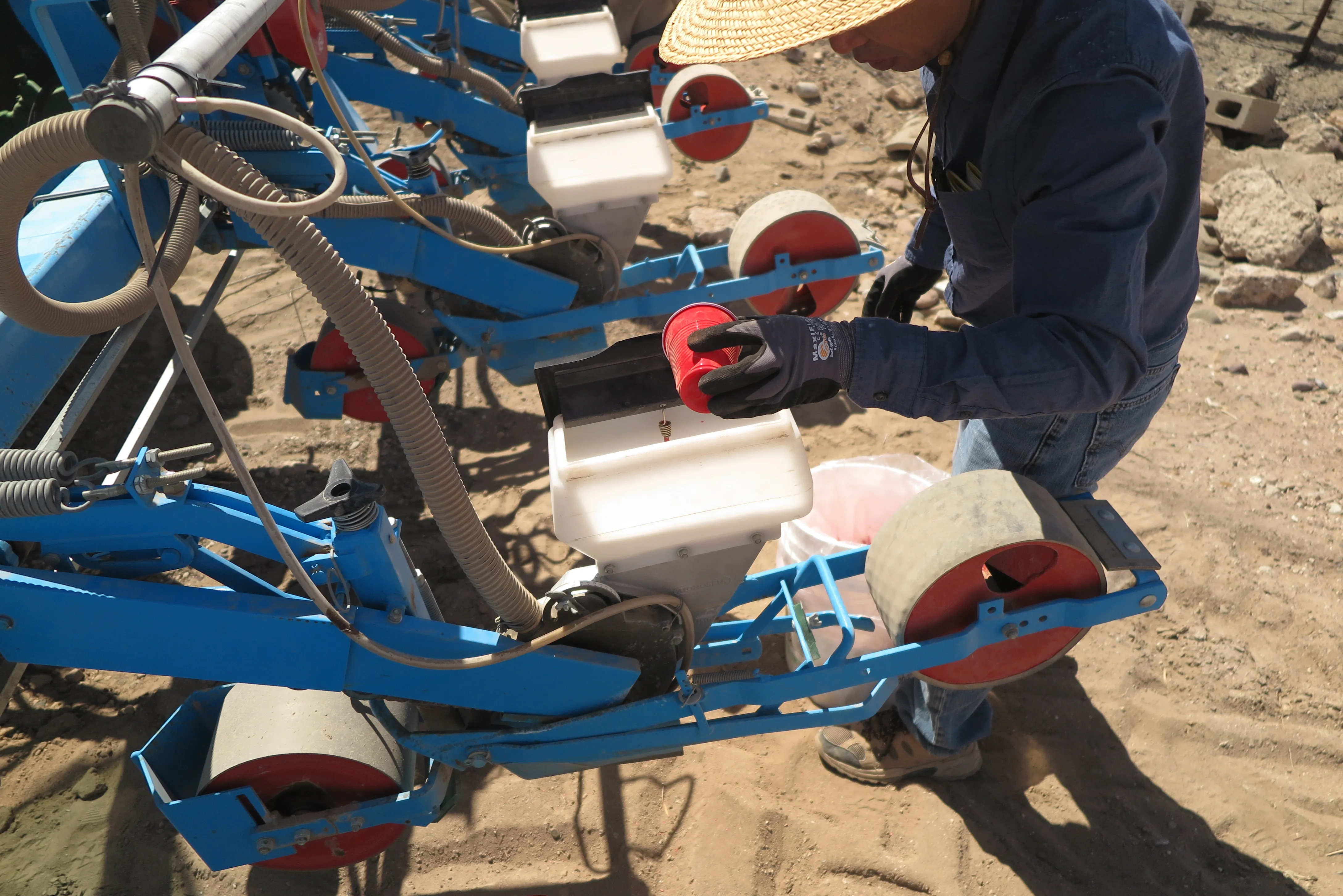 Loading guayule seeds into the vacuum planter