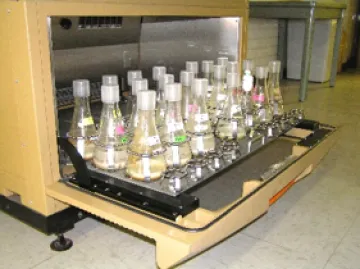 Biocatalytic transformation of guayule metabolites with submerged (shake flask) fungal cultures