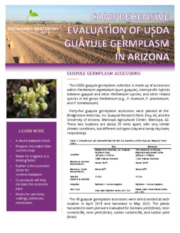 SBAR Fact Sheet Comprehensive Evaluation of USDA Guayule Germplasm in AZ_Page_1