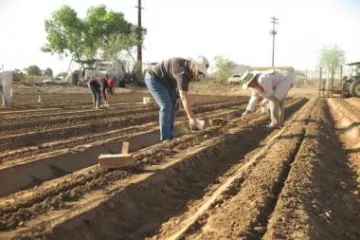 sbar_west_4.12.18_guayule_planting_4_600x400