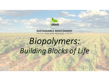 Biopolymers Lesson