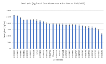 Guar genotype seed yield at Fabian Garcia Plant Science Center, Las Cruces, NM (2019)