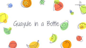 Guayule in a Bottle PowerPoint