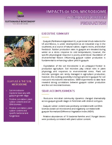 Impacts of Soil Microbiome on Guayule Rubber Production Briefing Paper