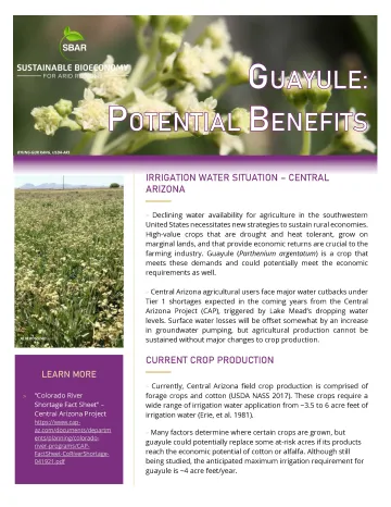 SBAR Info Sheet Potential Benefits of Guayule