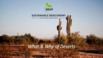 What and Why of Deserts lesson plan
