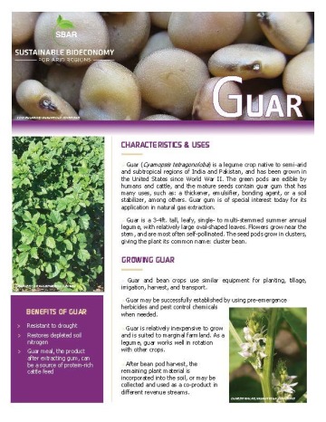Guar Fact Sheet
