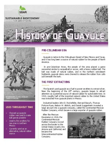 History of Guayule Fact Sheet