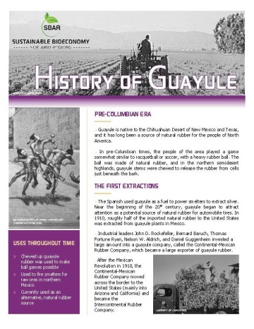 History of Guayule Fact Sheet